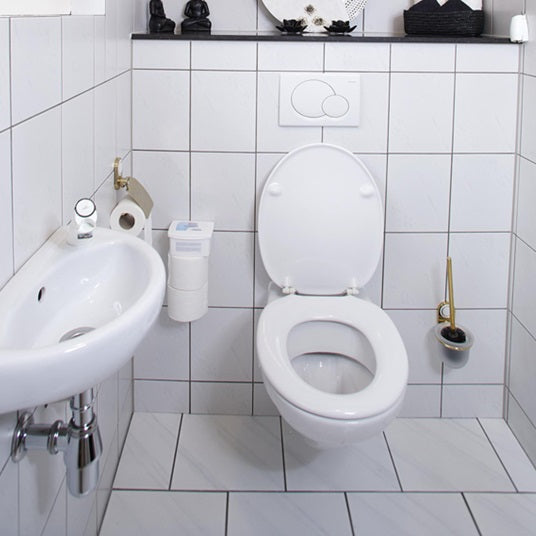 HG ECO Sanitary Area Cleaner White 500ml 2209 | Toilet Cleaner | Limescale Remover | Bathroom Floor Cleaner