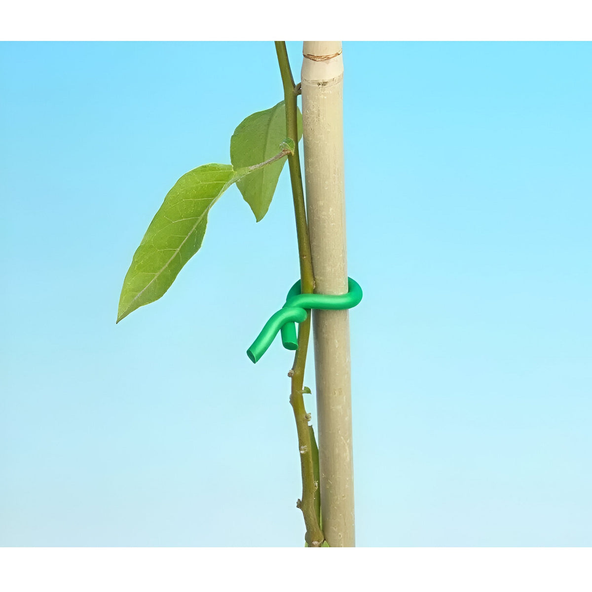 Green Blade Flexible Twist Garden Tie Green 2.5mm x 8Mtr TT151 | TPR Material | Durable | Reusable Garden Wire | For Use in the Garden - Greenhouse and Around the Home