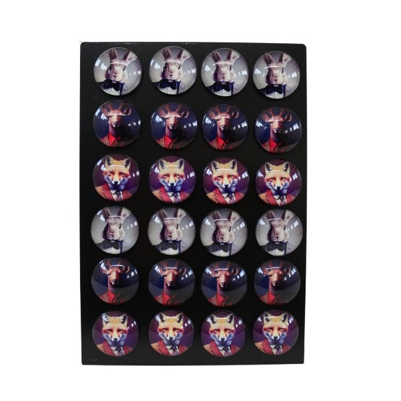 SiL Cynocelpahy Animal-Themed Magnets with Display Multicoloured 50mm x 50mm x 10mm Pack of 24 OR7777 | Stylish Fox-Deer and Rabbit Designs | Decorative Fridge and Office Magnets