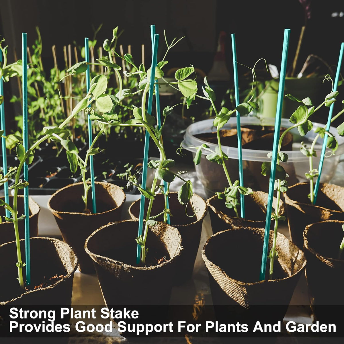 Green Blade Plant Sticks Green L45cm x D5mm Pack of 30 PS218 | Durable | Variety of Uses | Eco Friendly Bamboo Sticks with a Smooth Finish | Easy to Use | Ideal for Straightening Plant Stems and Securing Young Plants