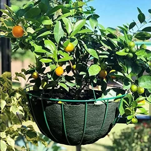 Green Jem Hanging Basket Liners Green 12-Inch HBBL12 | Excellent Water Retaining Properties | Visually Enhance Floral Displays | Made From Natural and Recycled Products | Use Side Slits for all Over Planting