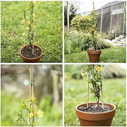 Rowan Gardening Accessories Natural Bamboo Garden Plant Support Stakes Wooden Brown 90cm Pack of 8 GAR1426OB | For Climbing Plants-Vegetables and Flowers
