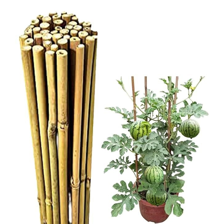 Rowan Gardening Accessories Natural Bamboo Garden Plant Support Stakes Wooden Brown 90cm Pack of 8 GAR1426OB | For Climbing Plants-Vegetables and Flowers