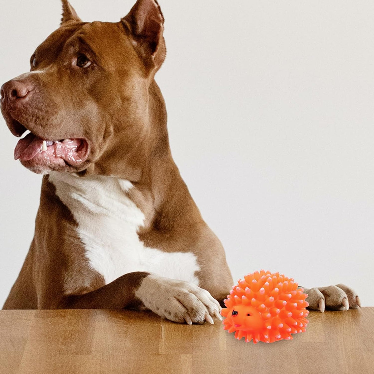 World of Pets Vinyl Spiky Ball Toy with Squeaker Assorted Colours Pack of 1 WP1392 | Durable Chew Toy for Dogs and Puppies | Helps to Keep Pets Happy and Healthy