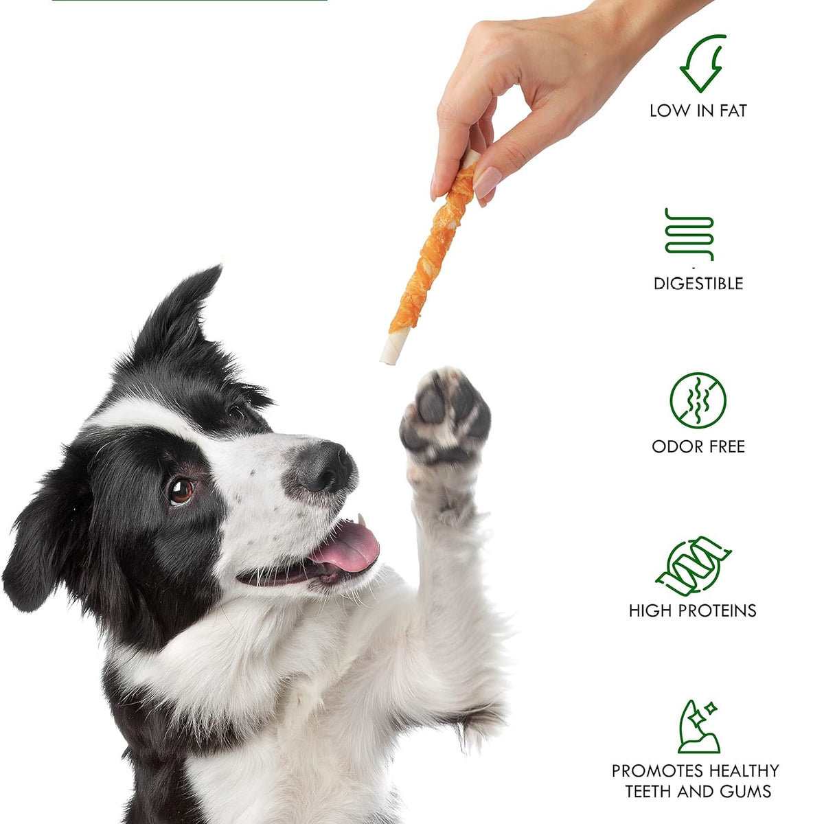 Smart Choice Rawhide Chicken Sticks for Dogs Brown Pack of 10 79g SC1480 | With Added Vitamins and Minerals | Ideal Treat or Reward | Resealable Pouch | Made with Real Chicken | Promotes Dental Hygiene | No Artificial Colourants | Low Fat | Grain Free