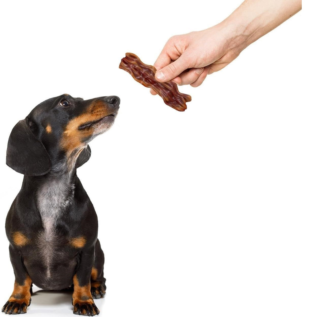 Smart Choice Daily Dental Streaky Bacon for Dogs Brown 11cm x 3cm Pack of 4 92g SC1574 | With Natural Bacon Flavouring | Resealable Pouch | No Artificial Colourants | Low Fat | Grain Free | Contains Calcium | Helps to Maintain Healthy Coat and Joints