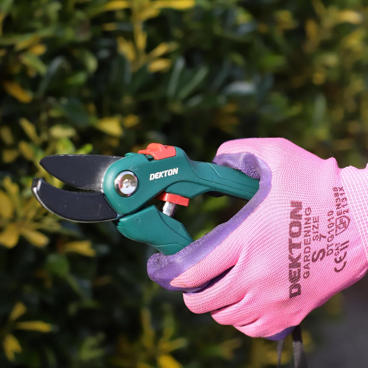 Dekton Anvil Pruner Dark Green 10mm DTG5020 | Prune Branches and Plants | Cut Through Thick Branches upto 10mm | Ideal for Cutting Branches and Fibrous Plants | Ground Carbon Steel Cutting Blade for Enduring Sharpness | Convenient One-Hand Safety Lock