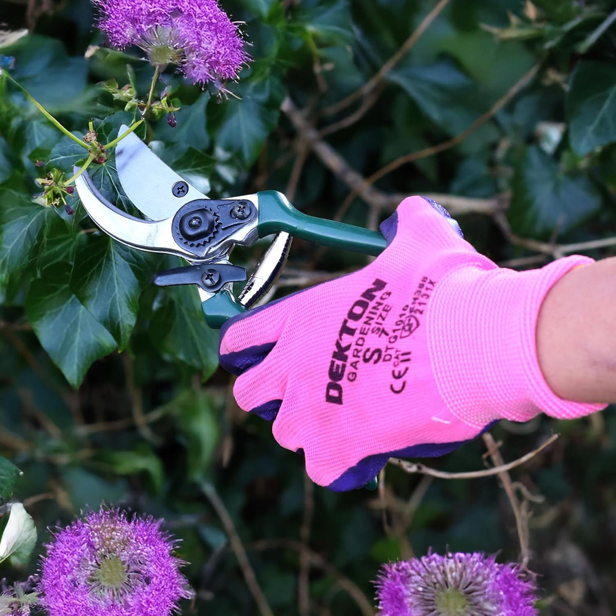Dekton Bypass Pruner Dark Green 21cm DTG5010 | Prune Flowers and Branches | For a Powerful Cut - Even Through Thick Branches upto 13mm | High Quality Sharpened Carbon Steel Blades | With Safety Catch and Volute Spring | Comfortable Ergonomic Grip for