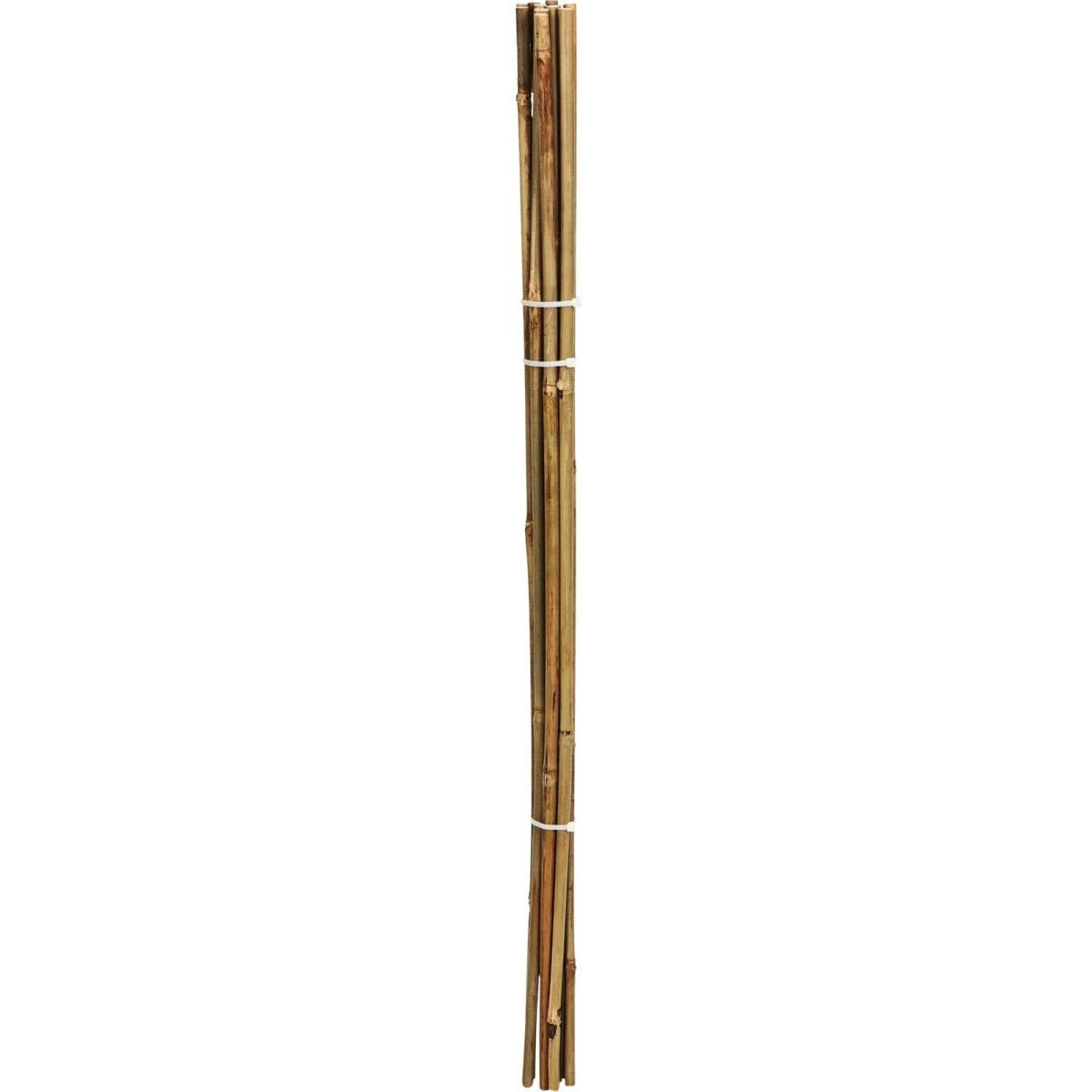 Progarden Bamboo Plant Support Garden Sticks Brown 116cm Pack of 10 836610160 | Lightweight and Sturdy | Easy to Cut | For Flowers-Vines-Trees and Potted Plants | Natural Growth Aid