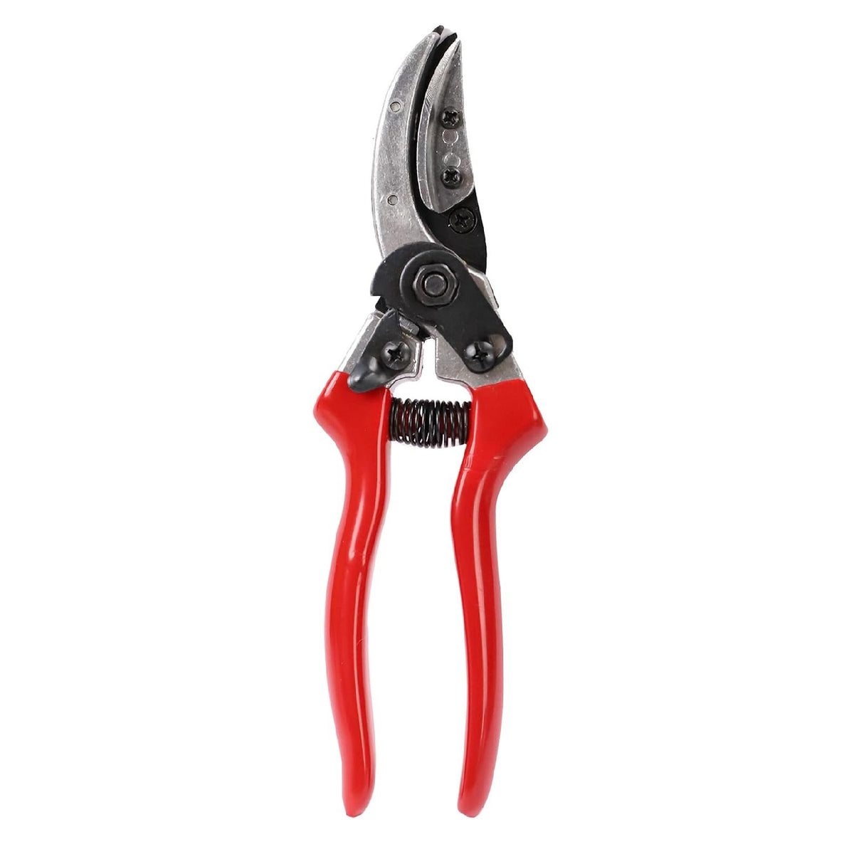 Dekton Pro Bypass Pruner Red 21cm DTG5015 | Prunes Stems and Branches | Powerful Cut Through Thick Branches upto 13mm | Heavy-Duty Design | Ideal for Pruning Tough Fibrous Stems - Branches and Woody Twigs | High Quality, Heavy-Duty Sharpened Carbon Steel