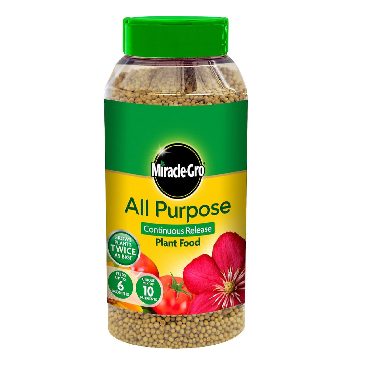 Miracle-Gro All Purpose Continuous Release Plant Food Green and Brown 1Kg 017684 | Grows Plant Twice as Big | Feeds upto 6 Months | Unique Mix of 10 Nutrients