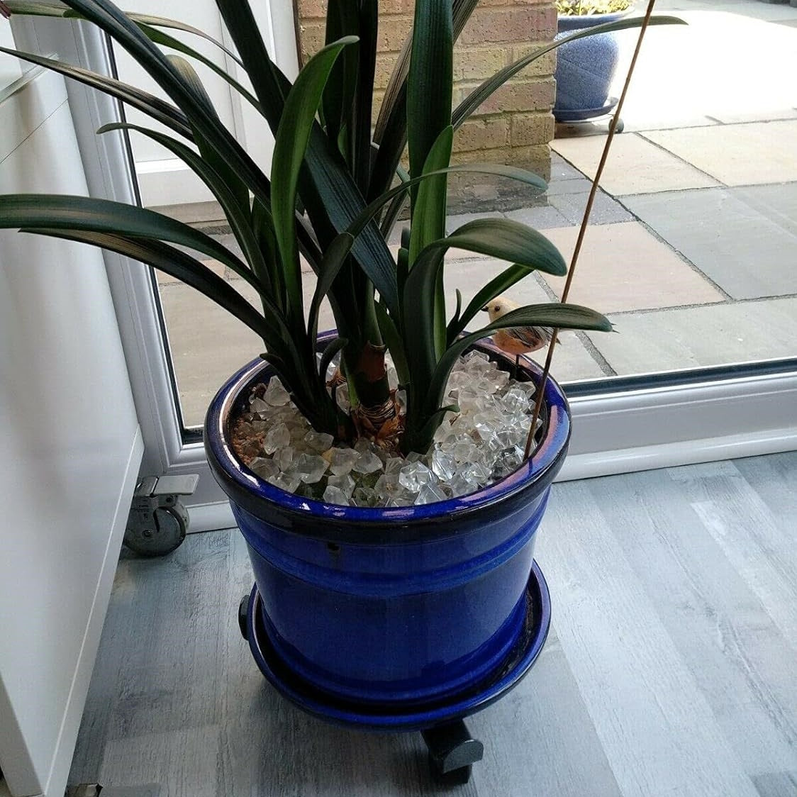 Green Blade Extendable Plant Trolley Black PP139 | Adjustable Metal Roller Stand with 3 Wheels | Fits Pots Diameter 25–38cm | Easy Mobility for Heavy Plant Pots | Maximum Load 50kg Stationary-30kg Moving | Leg Extends from 8-14cm | Durable