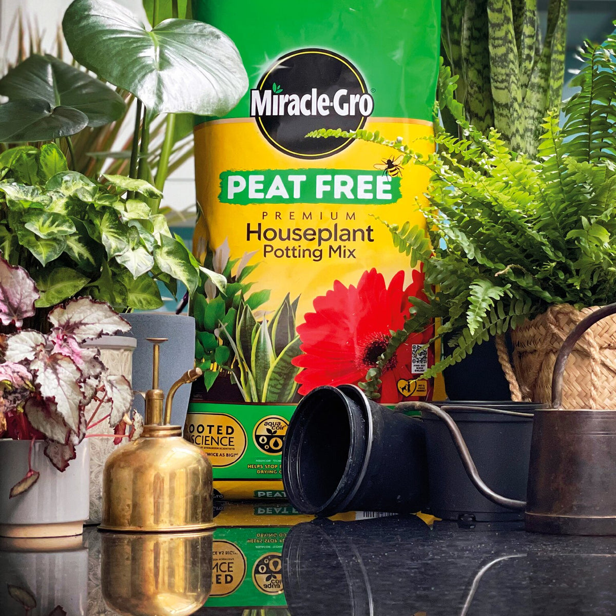 Miracle-Gro Peat Free Premium Houseplant Potting Mix Multicoloured 10Ltr | 14 Vital Nutrients | Locks in Moisture | Promotes Root Growth | Child and Pet Friendly | 3 Months Feed | Use in Pots-Container and Hanging Baskets