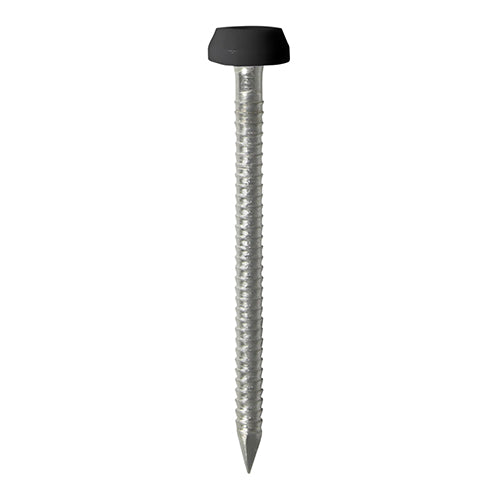 Timco Polymer Headed A4 Stainless Steel Nails Black 40mm Pack of 50 PP40BLP | UV Stable | Impact resistant | Used for Fixing Soffits-fascias-Roofline Trims | Shank - 2.1mm | Substrates - Corrosive Wood | Fixing Pins | Fixing Nails | Cladding Pins