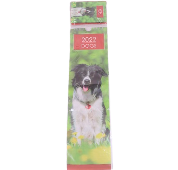 Design Group Pet Design Printed 2022 Calender with Diary and Envelope Assorted YSST22