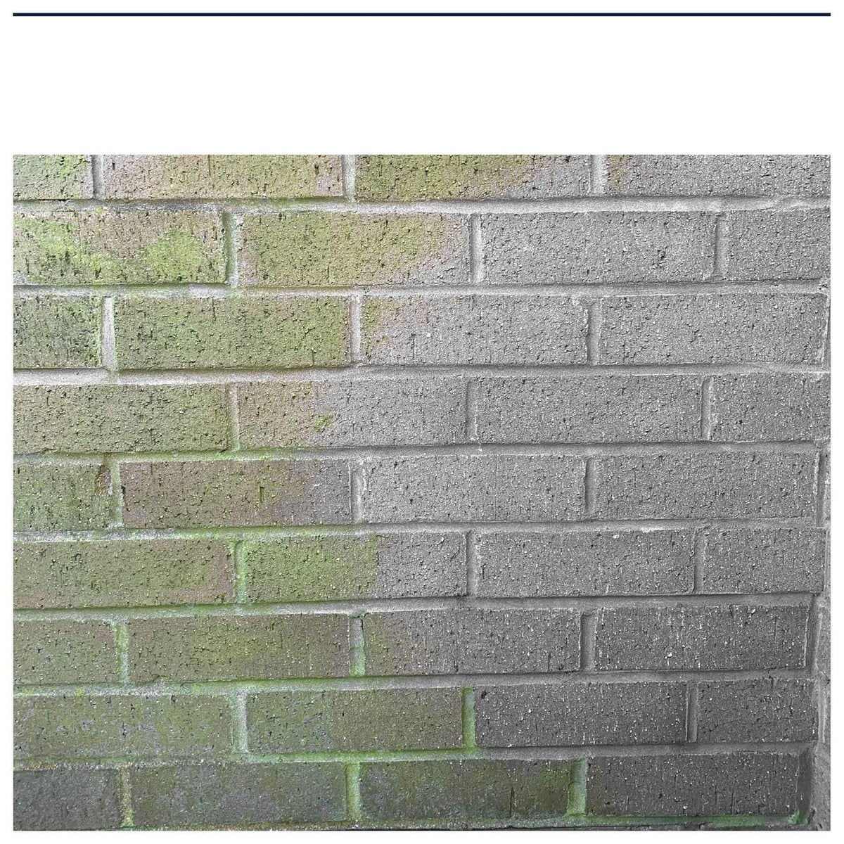Growmoor Multi Purpose Compost 40Ltr BGMPC40LTR | Ideal for Use Throughout the Garden | Helps Create more Colourful Flowers and Greener Leaves | Slow Release Feed and Moisture Retention for Healthier Plants | Adds Vital Nutrients to Create Healthier Stronger Roots