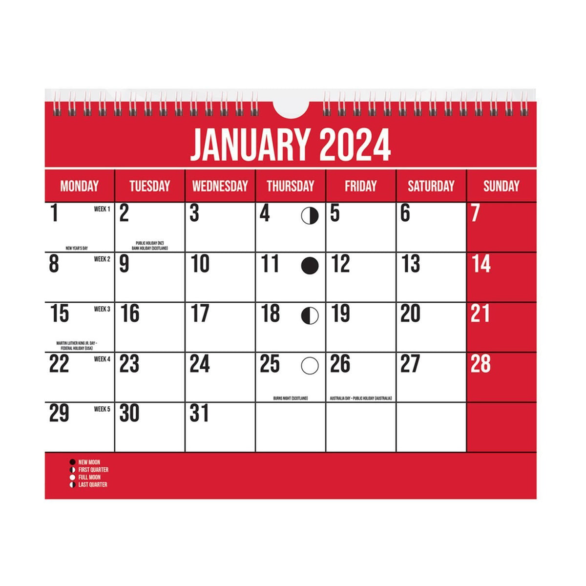 Design Group Easy View Wall Calendar Multicolour 272mm x 220mm YEV24 | Month Per Page | Complete 12 Months Calendar on Reverse | Full Lunar Calendar