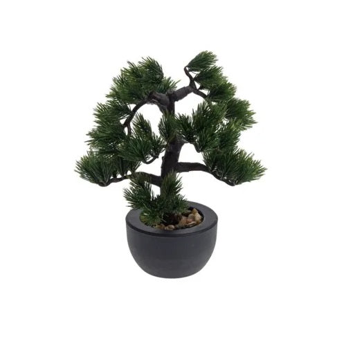 Botanical Decoration Bonsai Tree Assorted 31cm 137096