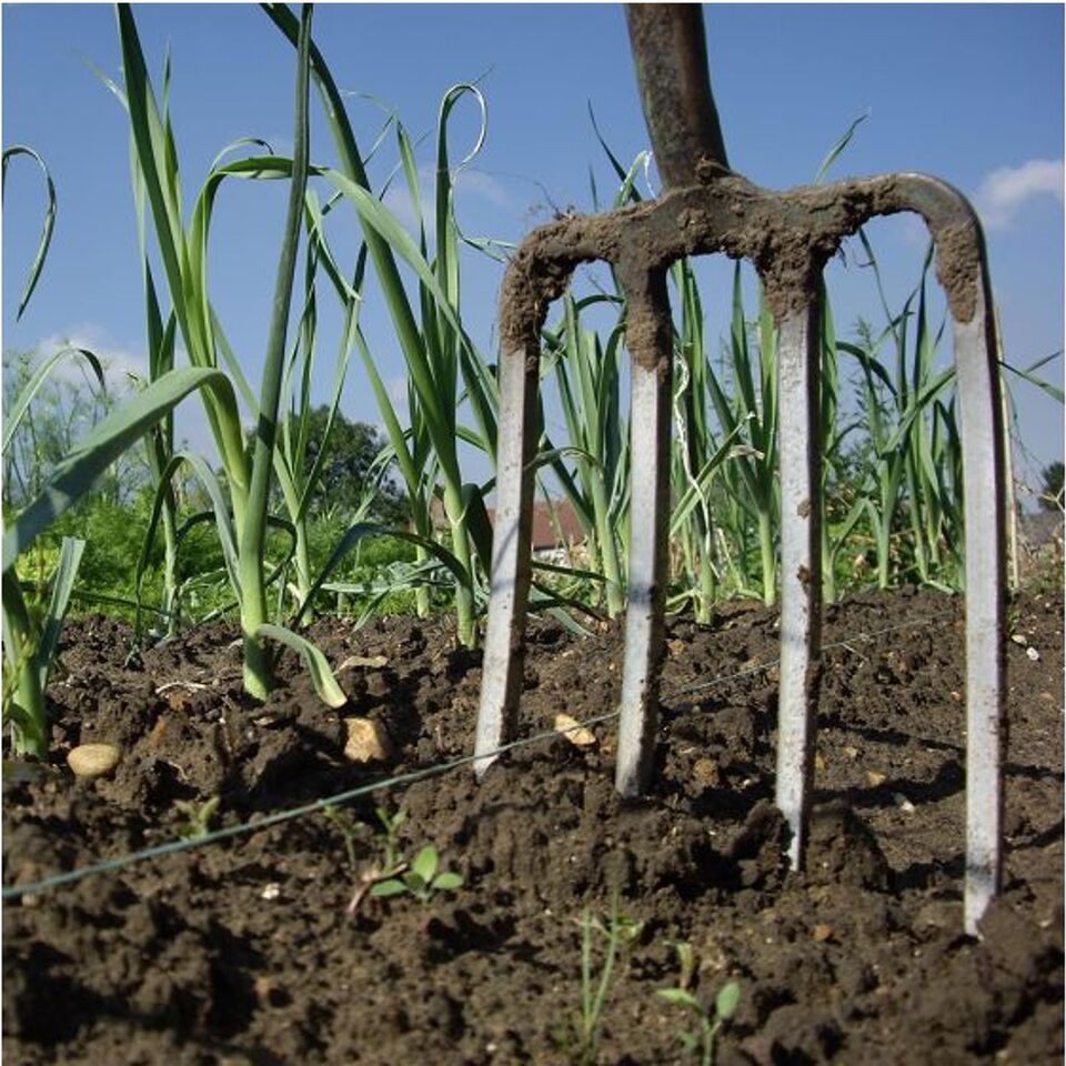 Dekton Metal Gardening Digging Fork Green DTG4020