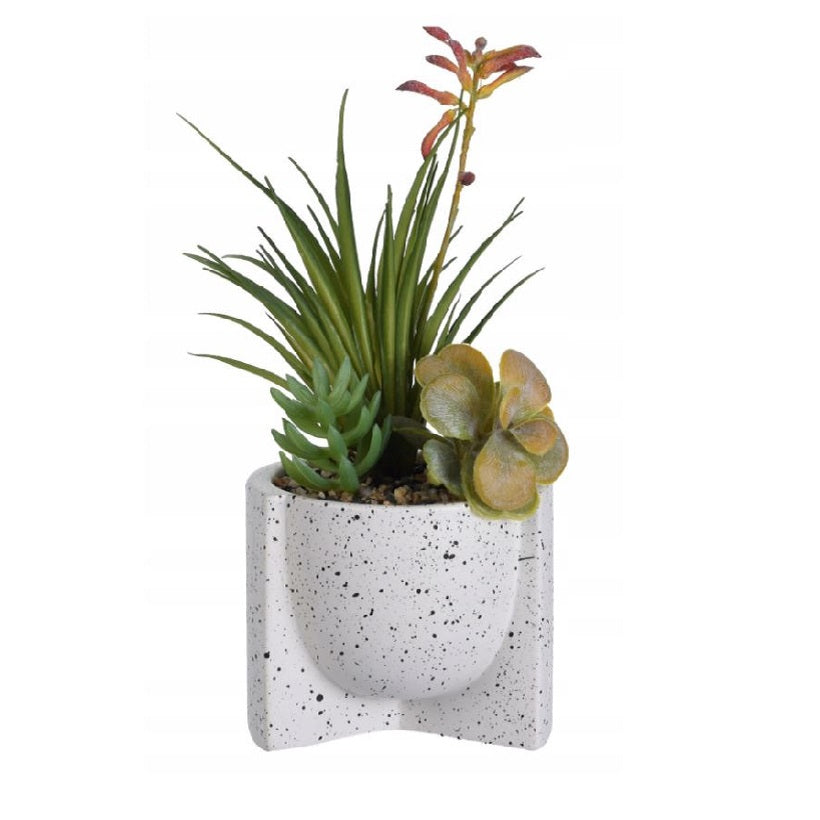 Plant in Pot Multicolour 082099