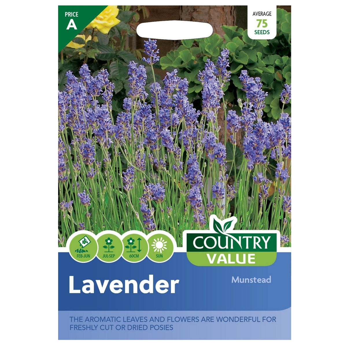 Country Value Munstead Lavender Seeds Pack of 75