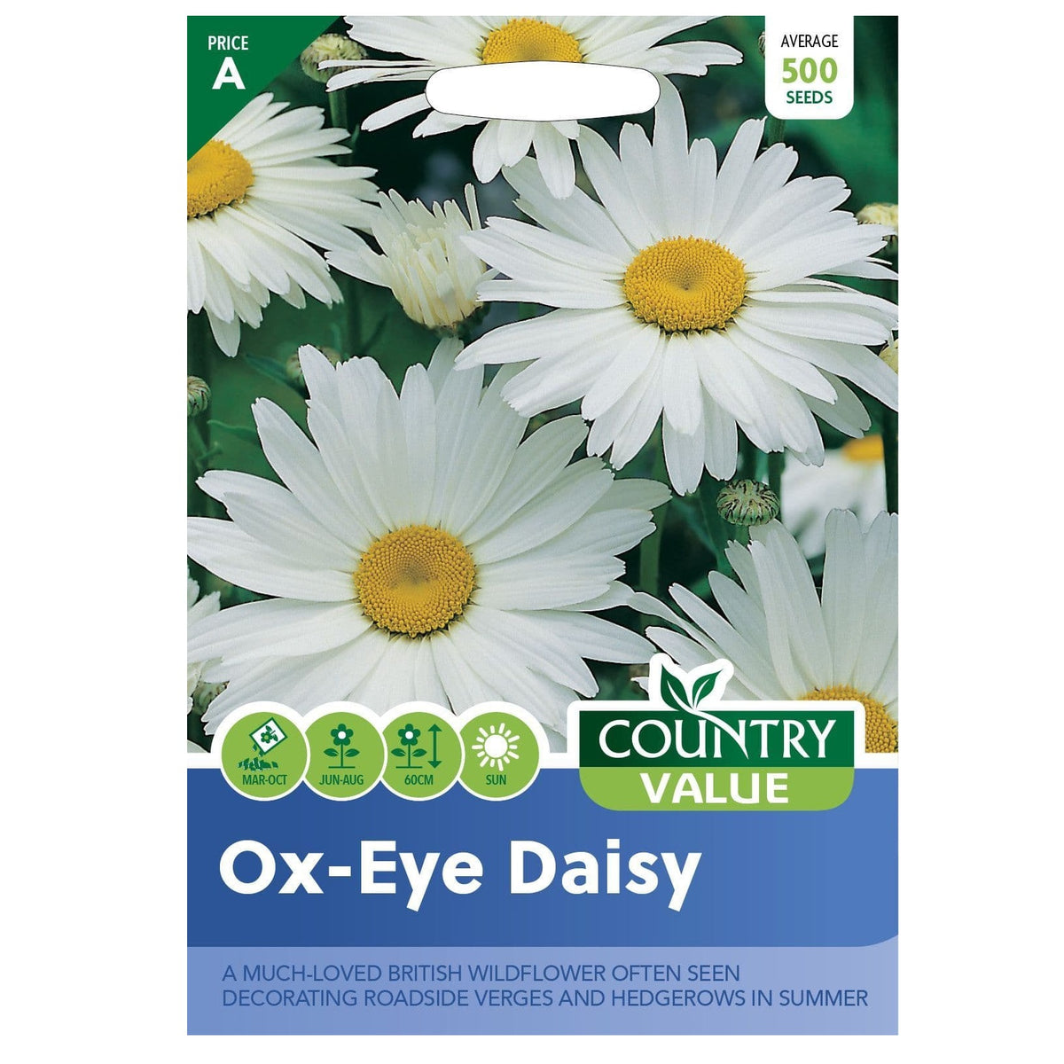 Country Value Ox-Eye Daisy Seeds White Pack of 500