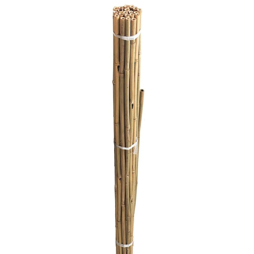 JVL Bamboo Canes Brown 8Ft Pack of 10 05-008