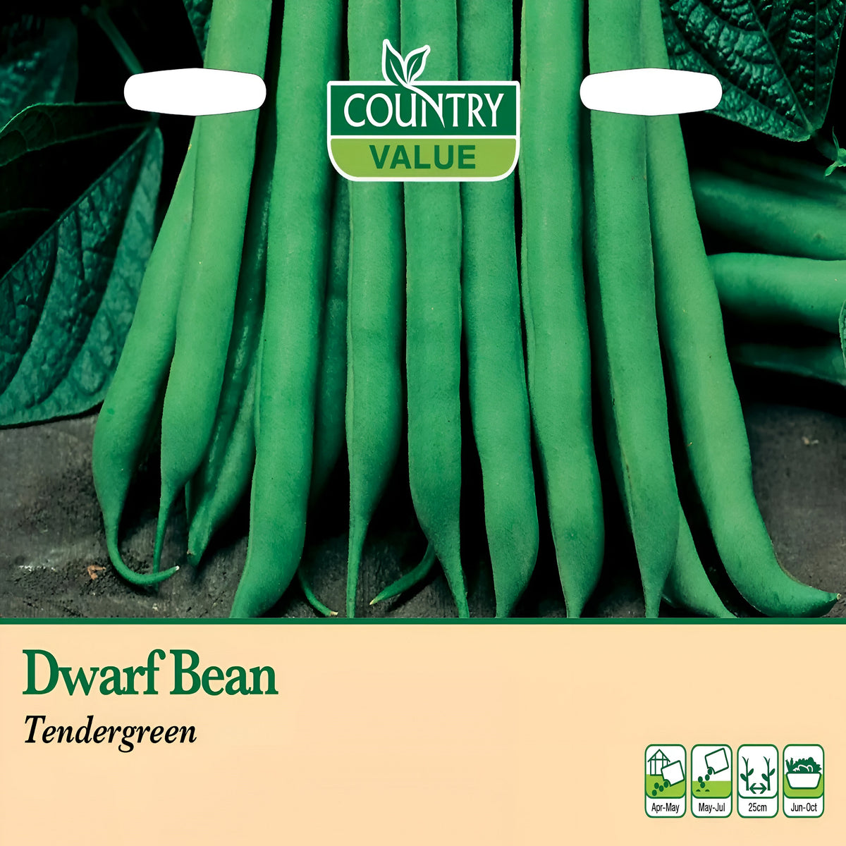 Country Value Deaf French Bean Seeds Tendergreen Pack of 50 Seeds