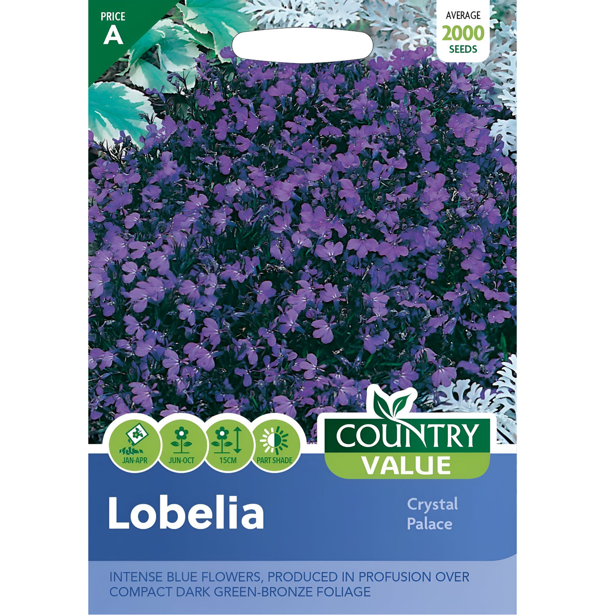 Country Value Lobelia Crystal Palace Seeds Assorted Pack of 2000 Seeds