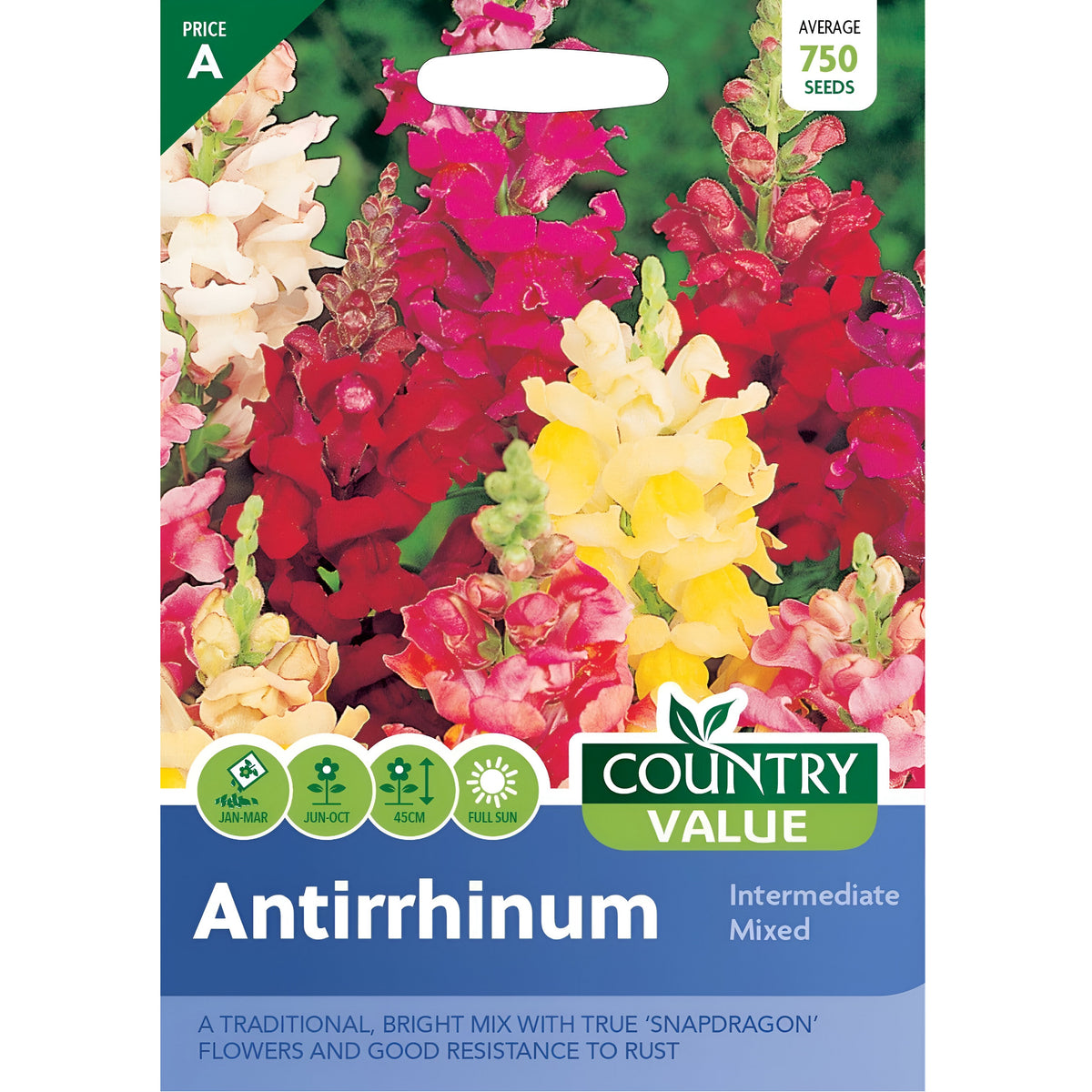 Country Value Antirrhinum Intermediate Mixed Seeds Assorted Pack of 750 Seeds