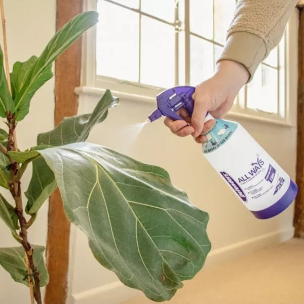 Growmoor Multi Purpose Compost 40Ltr BGMPC40LTR | Ideal for Use Throughout the Garden | Helps Create more Colourful Flowers and Greener Leaves | Slow Release Feed and Moisture Retention for Healthier Plants | Adds Vital Nutrients to Create Healthier Stronger Roots