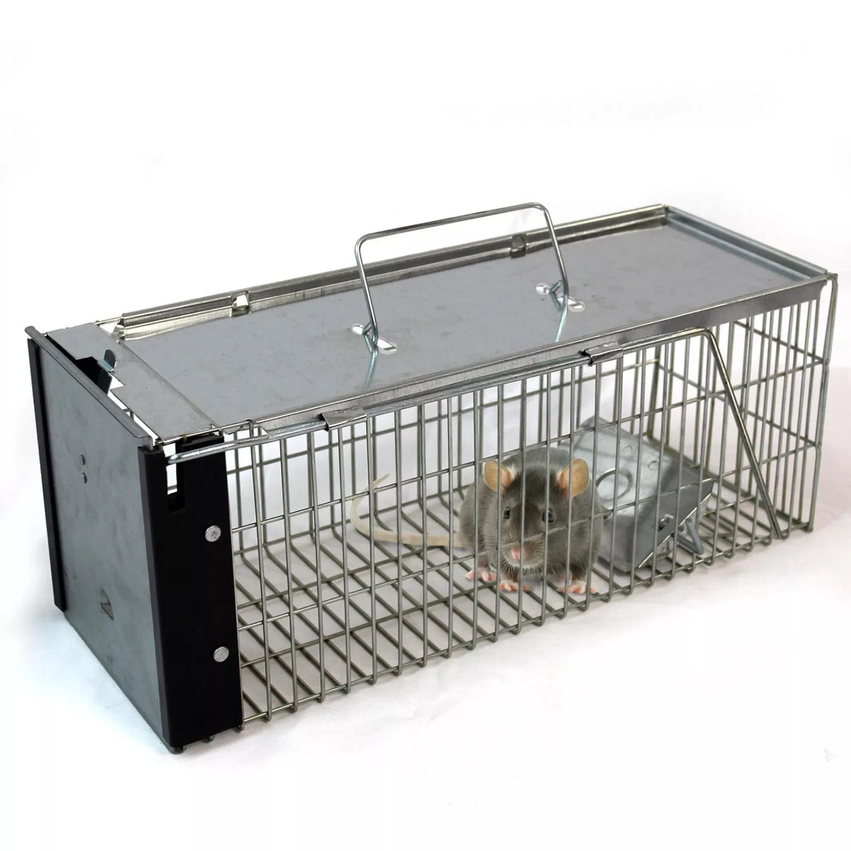 STV The Big Cheese Rat Trap Metallic Silver STV115
