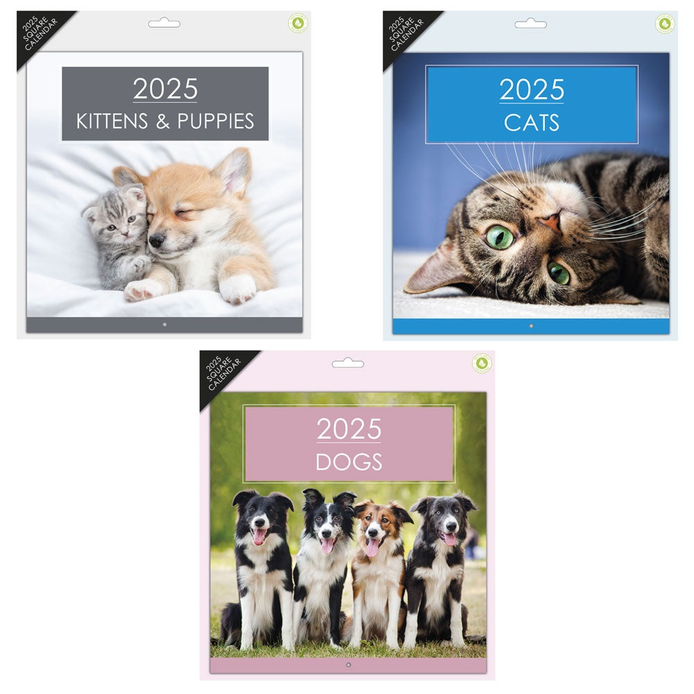 Design Group 2025 Square Pets Calendar Assorted YSQ25