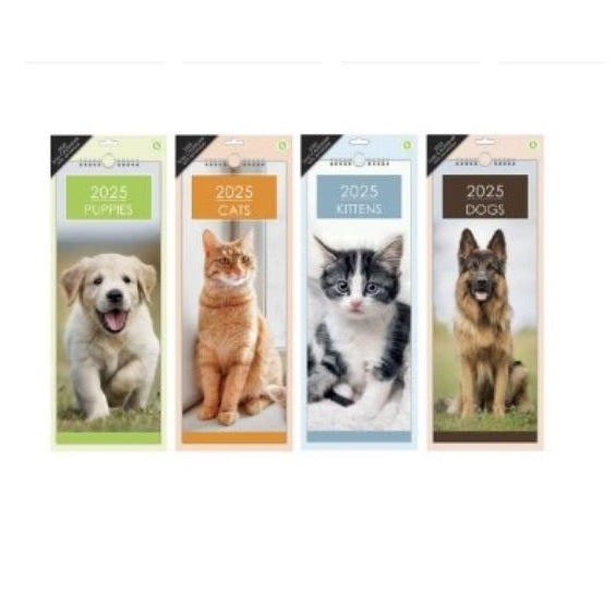 Design Group 2025 Cats and Dogs Slimline Calendar with Envelope Assorted YTG25