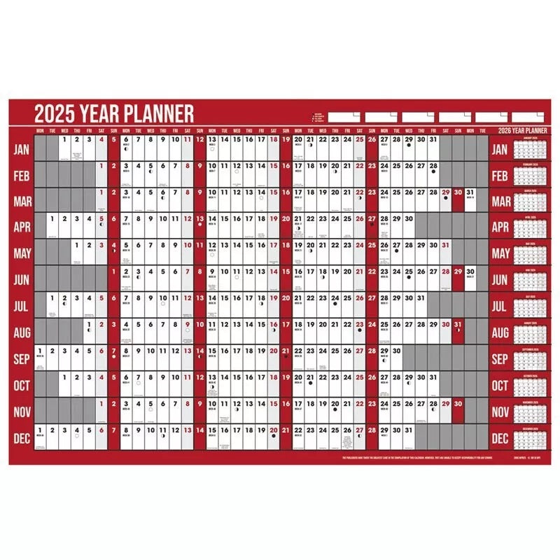 Design Group 2025 Commercial Yearly Planner Wall Calendar WPR25