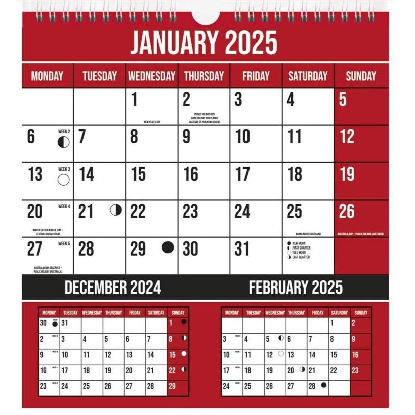 Design Group 2025 3 Month to View Wall Calendar YEB25