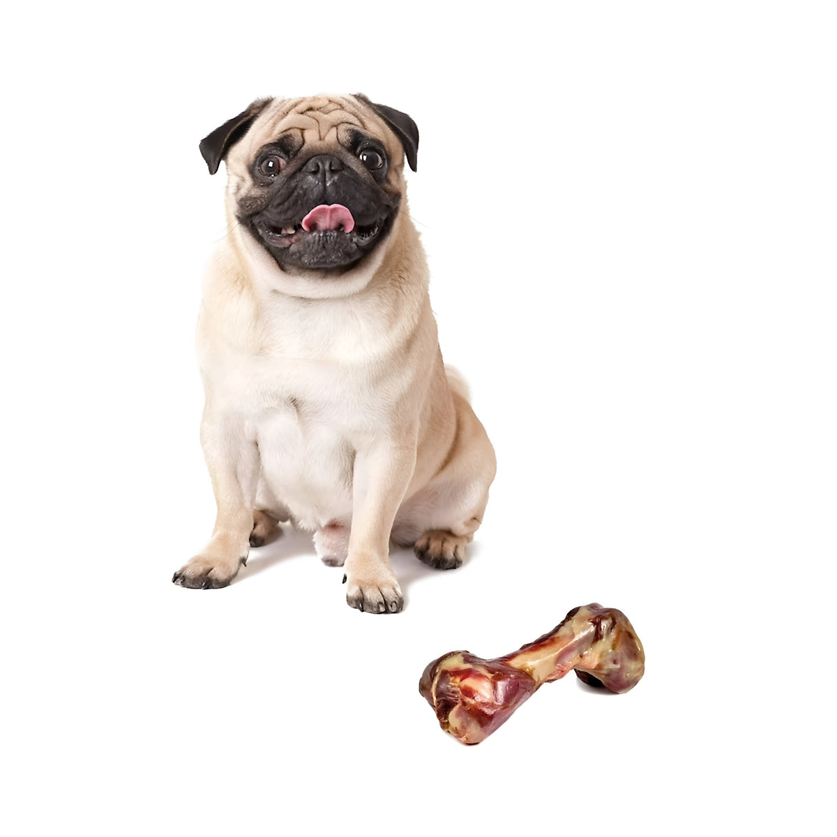 151 Munch and Crunch Serrano Ham Bone Multicolour MC0051 | 100% Natural