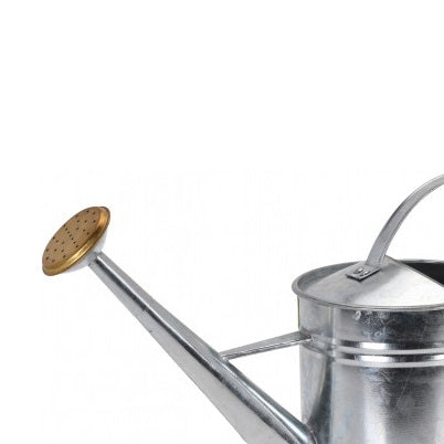 Metal Watering Can Silver 1900ml 150293