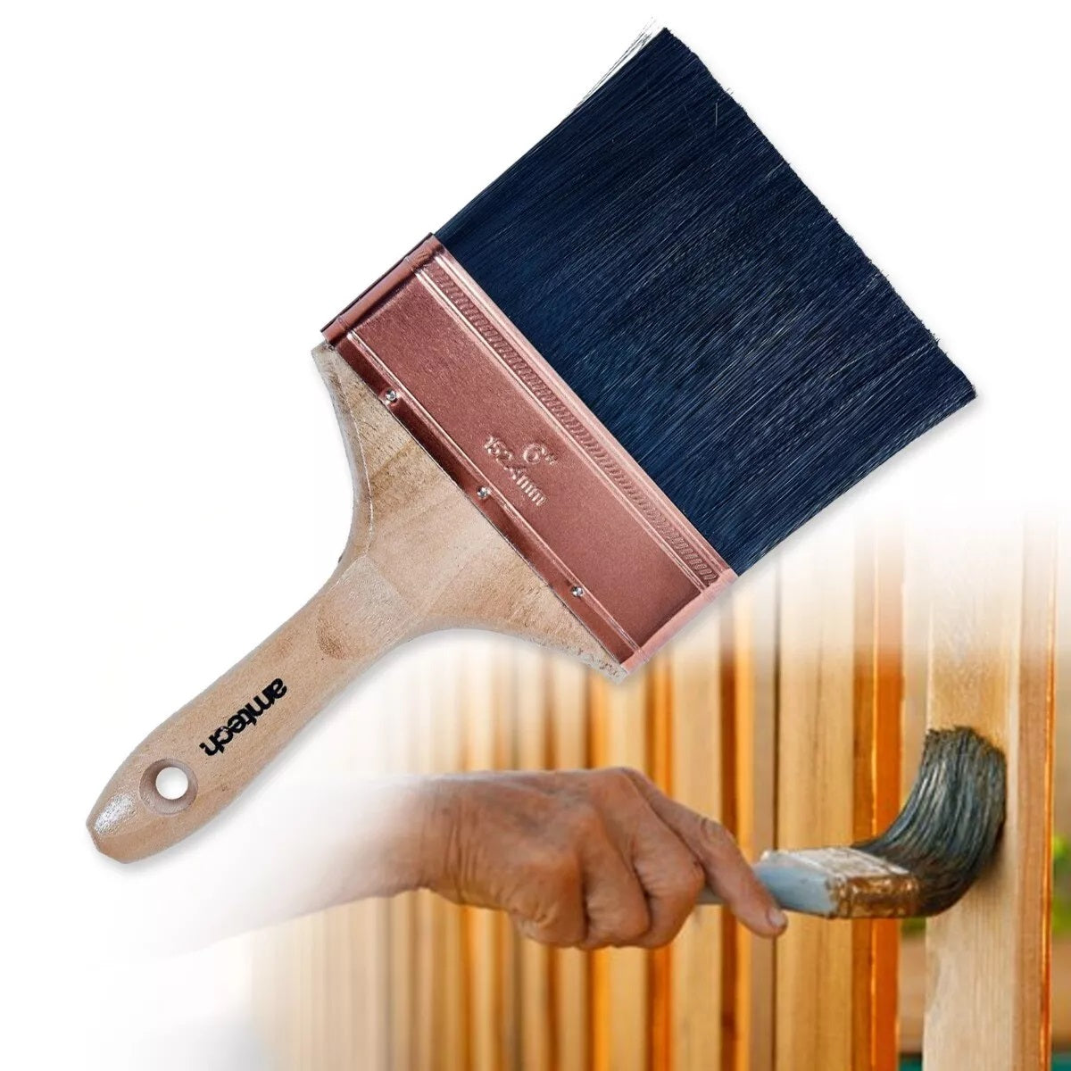 Amtech Professional Wall Brush 6-Inch S3965 | Suitable for Interior and Exterior Use | Ideal for Rough and Textured Surfaces