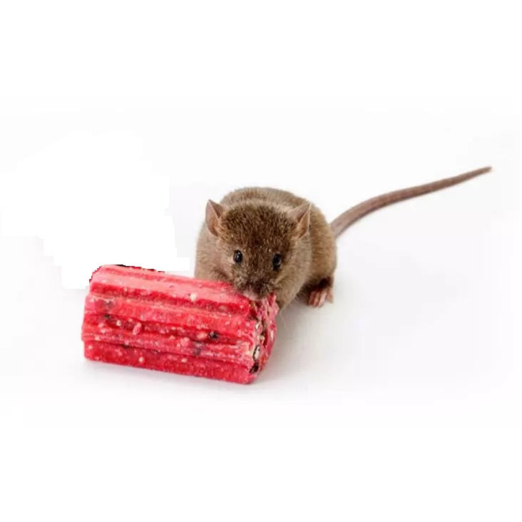 Racan Rat and Mouse Killer Block Bait Red 10 x 30g BL0040418