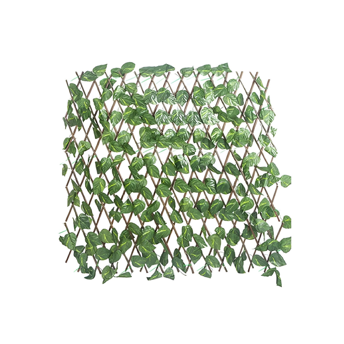 Sanctuary Leaf Expanding Trellis Green 180cm x 90cm 952046 | Perfect for Any Garden | UV Treated
