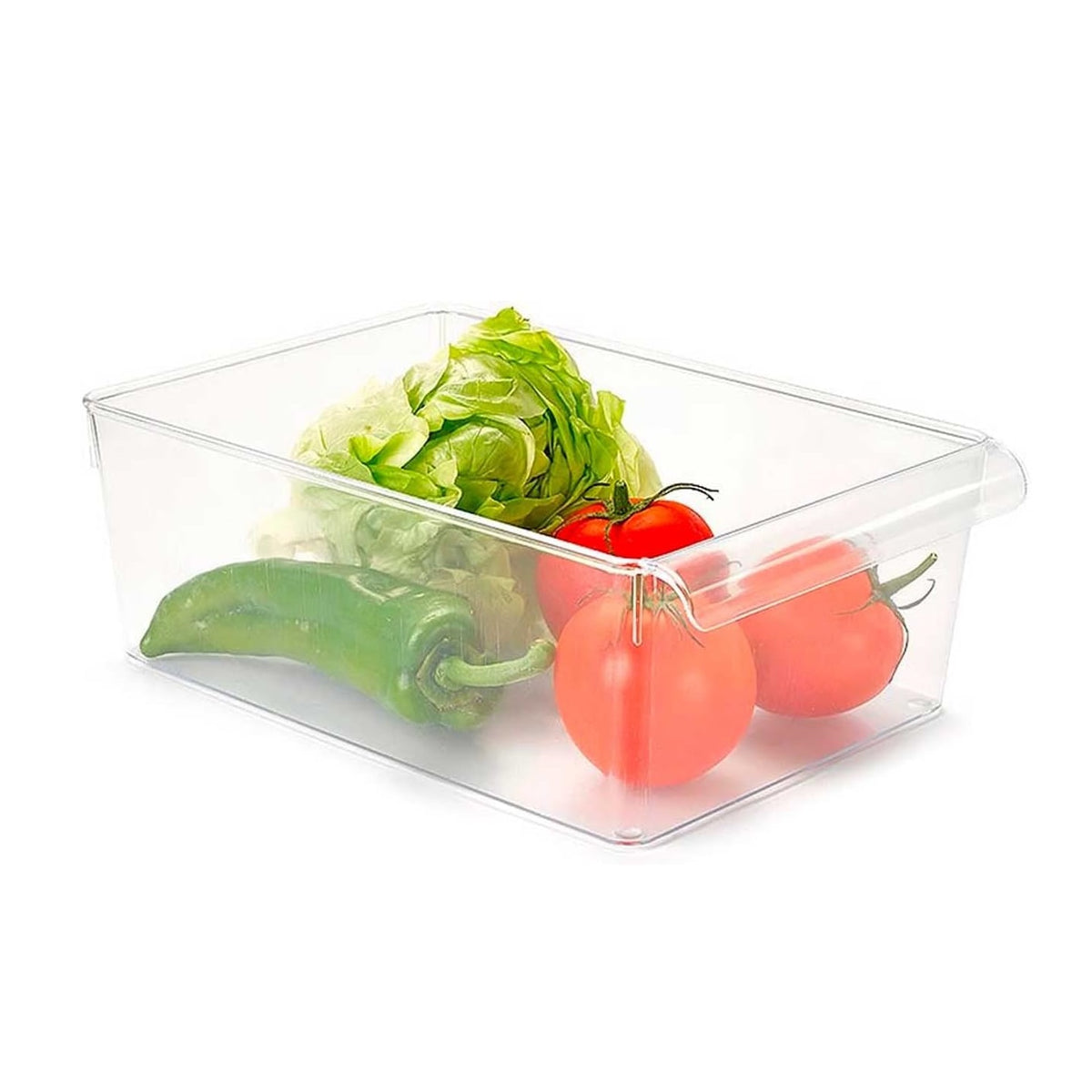 PlasticForte Fridge Organizer Bin No.9 Clear 19.5cm x 29cm x 10cm 14004 | BPA-Free Storage Box