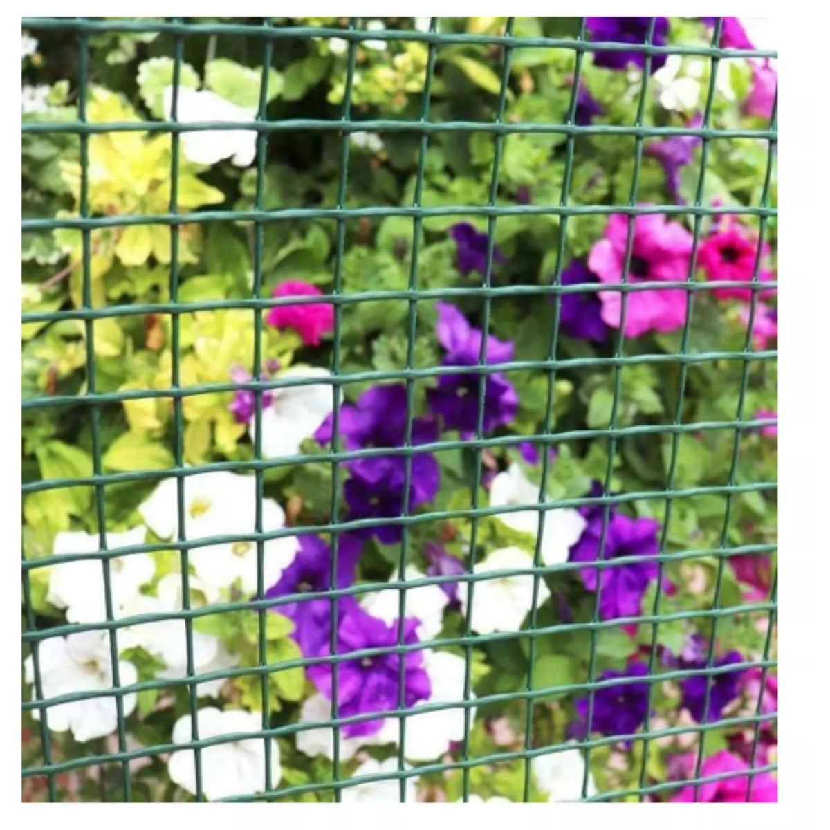 Green Blade Heavy-Duty Plastic Mesh Net Green 5Mtr x 1Mtr CW151 | HDPE Mesh with 20mm Mesh Holes | Garden Netting for Plants-Trees and Fencing | Deter Birds and Pests