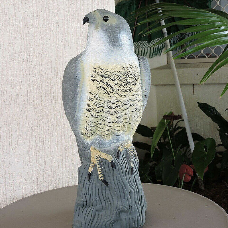 Redwood Leisure Falcon Bird Deterrent Multicolour H4cm x W16cm x D17cm BD102