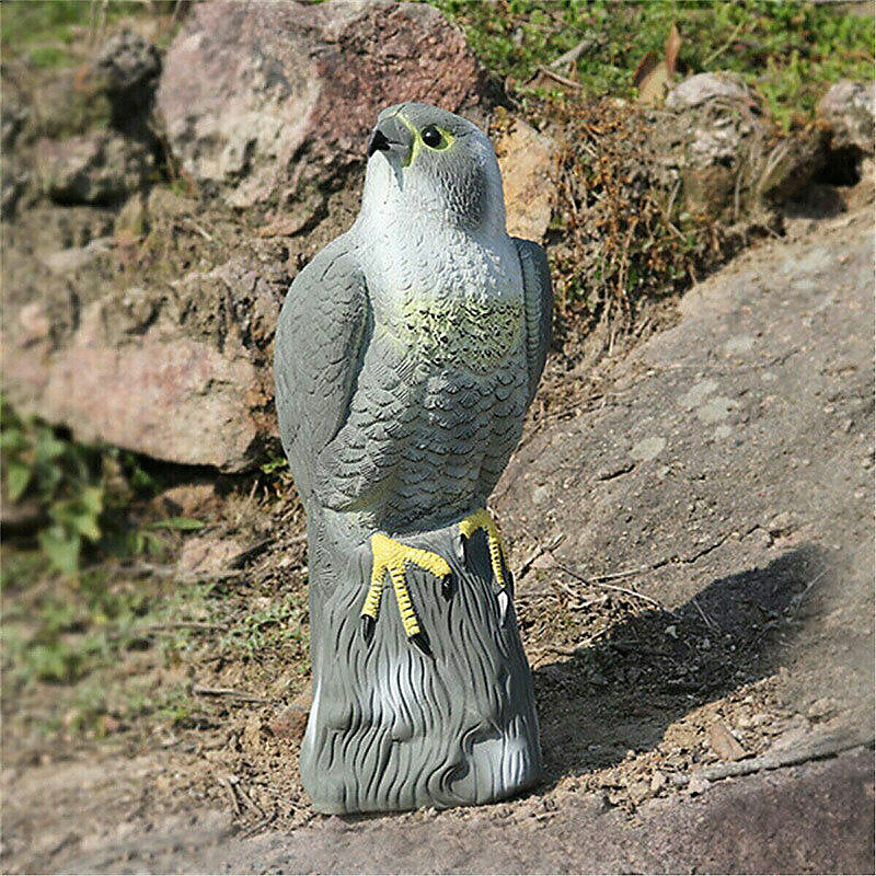 Redwood Leisure Falcon Bird Deterrent Multicolour H4cm x W16cm x D17cm BD102