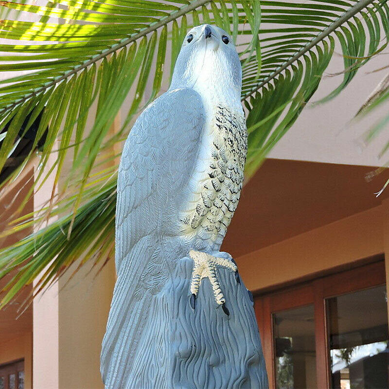 Redwood Leisure Falcon Bird Deterrent Multicolour H4cm x W16cm x D17cm BD102
