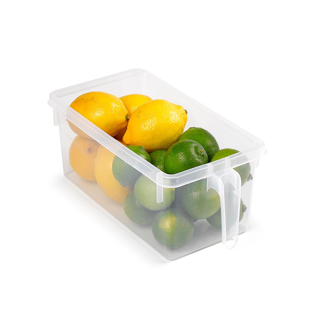 Plasticforte Frosted Handy Fridge Organiser Transparent 15cm x 29cm x 12cm 12807 | Kitchen Organizer for Fruits-Vegetables and Pantry Items | Reusable