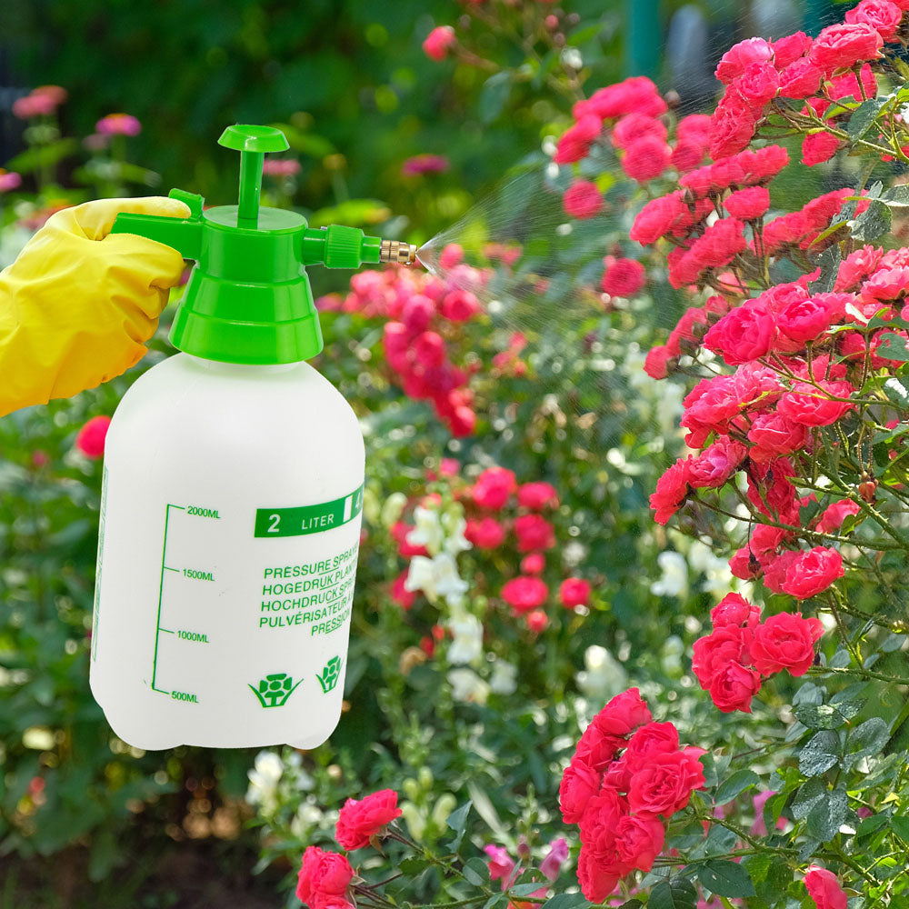 Durane Pressure Sprayer White and Green 2Ltr 10604
