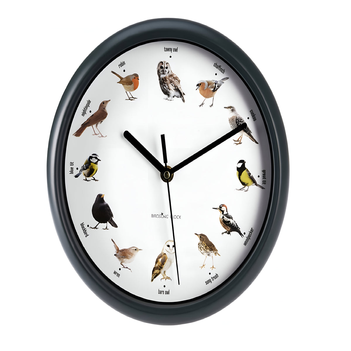 Round Wall Clock with Bird Sound Black 25cm 837165370 | Every Hour Different Bird Song