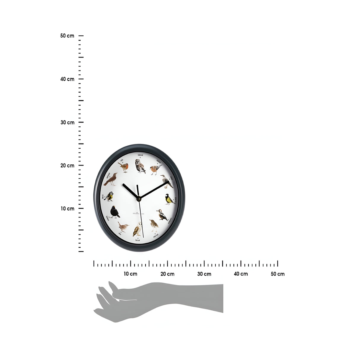 Round Wall Clock with Bird Sound Black 25cm 837165370 | Every Hour Different Bird Song